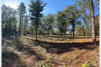 3404 Yellow Hammer Rd, Pace, FL 32571 - Photo 8