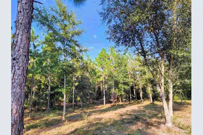 3404 Yellow Hammer Rd, Pace, FL 32571 - Photo 14