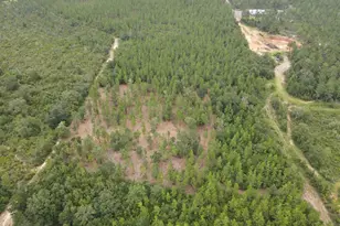 3404 YELLOW HAMMER RD, Pace, FL 32571 - Photo 1