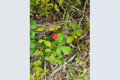 3404 Yellow Hammer Rd, Pace, FL 32571 - Photo 10