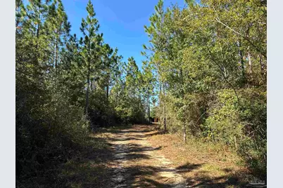 3404 Yellow Hammer Rd, Pace, FL 32571 - Photo 6