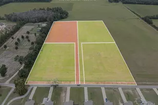 Molino Bridge Rd, Pace, FL 32571 - Photo 1