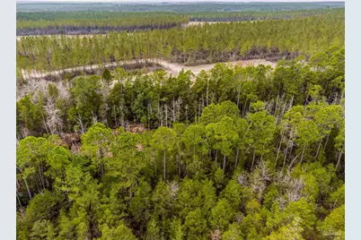 8997 Indian Ford Rd #Parcel A 22+/- Acres (Approximately), Milton, FL 32570 - Photo 20