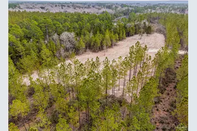 8997 Indian Ford Rd #Parcel A 22+/- Acres (Approximately), Milton, FL 32570 - Photo 4