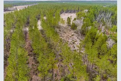 8997 Indian Ford Rd #Parcel A 22+/- Acres (Approximately), Milton, FL 32570 - Photo 10