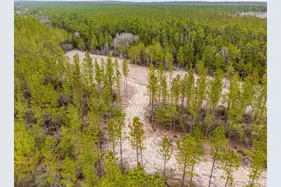 8997 Indian Ford Rd #Parcel A 22+/- Acres (Approximately), Milton, FL 32570 - Photo 6