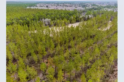 8997 Indian Ford Rd #Parcel A 22+/- Acres (Approximately), Milton, FL 32570 - Photo 26