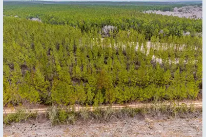 8997 Indian Ford Rd #Parcel B 22.45+/- Acres (Approximately), Milton, FL 32570 - Photo 28