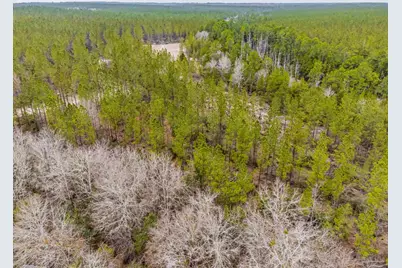 8997 Indian Ford Rd #Parcel B 22.45+/- Acres (Approximately), Milton, FL 32570 - Photo 16