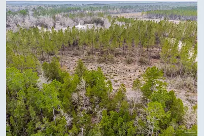 9318 Indian Ford Rd, Milton, FL 32570 - Photo 14