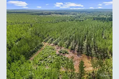 9320 Indian Ford Rd #Parcel B 22.45+, Milton, FL 32570 - Photo 20