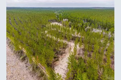 8997 Indian Ford Rd #Parcel B 22.45+/- Acres (Approximately), Milton, FL 32570 - Photo 30