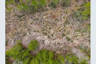 8997 Indian Ford Rd #Parcel B 22.45+/- Acres (Approximately), Milton, FL 32570 - Photo 14