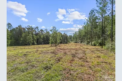 9320 Indian Ford Rd #Parcel B 22.45+, Milton, FL 32570 - Photo 14