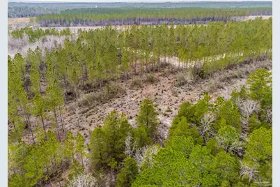 8997 Indian Ford Rd #Parcel B 22.45+/- Acres (Approximately), Milton, FL 32570 - Photo 12