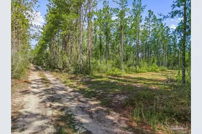 9320 Indian Ford Rd #Parcel B 22.45+, Milton, FL 32570 - Photo 10