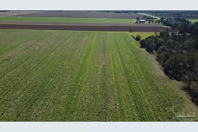 4900 Block Hwy 97, Walnut Hill, FL 32568 - Photo 8
