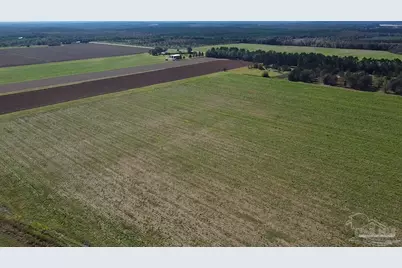 4900 Block Hwy 97, Walnut Hill, FL 32568 - Photo 18