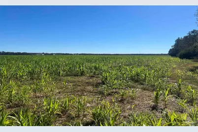 4900 Block Hwy 97, Walnut Hill, FL 32568 - Photo 2