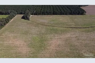 4900 Block Hwy 97, Walnut Hill, FL 32568 - Photo 10