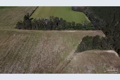 4900 Block Hwy 97, Walnut Hill, FL 32568 - Photo 16