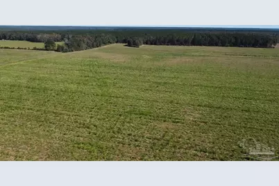 4900 Block Hwy 97, Walnut Hill, FL 32568 - Photo 22