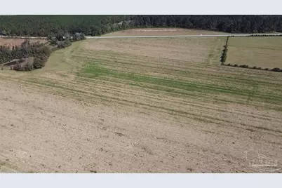 5600 Block Hwy 97, Walnut Hill, FL 32568 - Photo 18