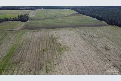 5600 Block Hwy 97, Walnut Hill, FL 32568 - Photo 8