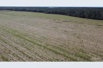 5600 Block Hwy 97, Walnut Hill, FL 32568 - Photo 4