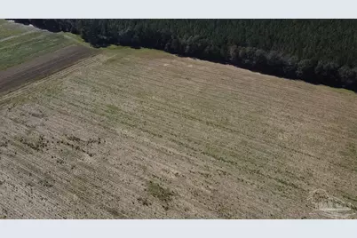 5600 Block Hwy 97, Walnut Hill, FL 32568 - Photo 12