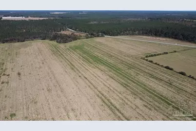 5600 Block Hwy 97, Walnut Hill, FL 32568 - Photo 14