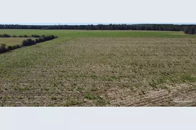 5600 Block Hwy 97, Walnut Hill, FL 32568 - Photo 1