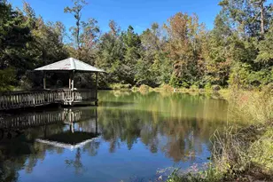 1002 Daffin Rd, Molino, FL 32577 - Photo 4