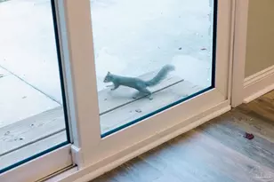 5580 Homewood Rd, Pensacola, FL 32504 - Photo 4