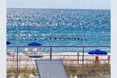 645 Lost Key Dr #206-D, Perdido Key, FL 32507 - Photo 2