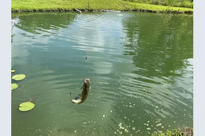 3372 Childers St, Milton, FL 32583 - Photo 24