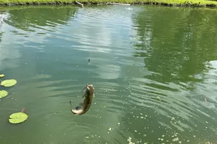 3372 Childers St, Milton, FL 32583 - Photo 24