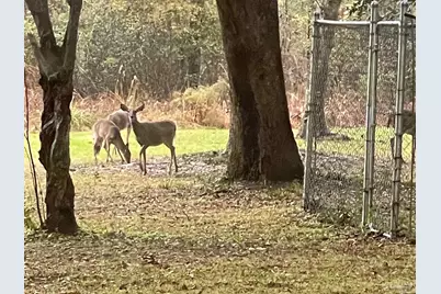 3372 Childers St, Milton, FL 32583 - Photo 12