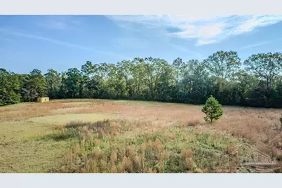 296 Salters Lake Rd, Century, FL 32535 - Photo 8