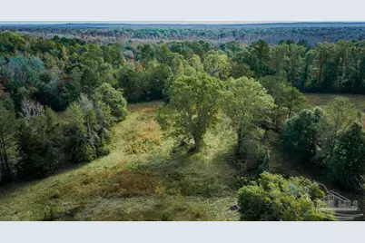 296 Salters Lake Rd, Century, FL 32535 - Photo 12