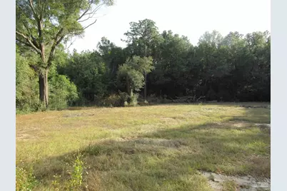 5401 Delona Rd, Milton, FL 32583 - Photo 4