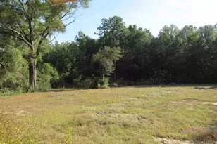 5401 Delona Rd, Milton, FL 32583 - Photo 38