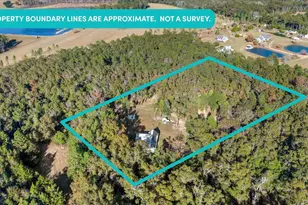 4394 Crabtree Church Rd, Molino, FL 32577 - Photo 58