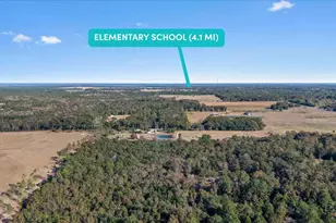 4394 Crabtree Church Rd, Molino, FL 32577 - Photo 60