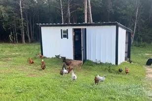 4394 Crabtree Church Rd, Molino, FL 32577 - Photo 48