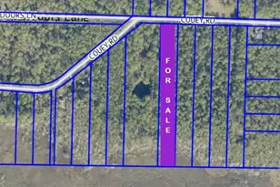 0000 Couey Rd, Milton, FL 32583 - Photo 1