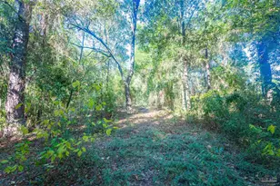 6598 Dewrell Square, Pensacola, FL 32504 - Photo 50