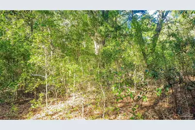 6598 Dewrell Sq, Pensacola, FL 32504 - Photo 14