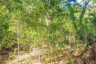 6598 Dewrell Square, Pensacola, FL 32504 - Photo 14