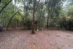 1329 Beaver Dam Ln, Bonifay, FL 32425 - Photo 1